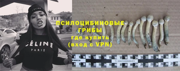 mdpv Каменск-Шахтинский