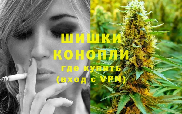 mdpv Каменск-Шахтинский