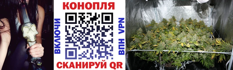 Купить где  Астрахань  Конопля планчик 